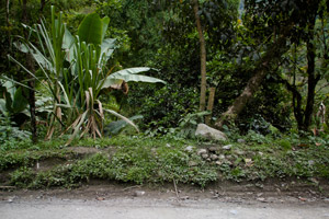 March 17, 1965.  Inzá, Cauca. (2)