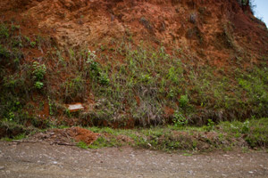 May 6, 1993.  “Los Uvos” Village, La Vega, Cauca.